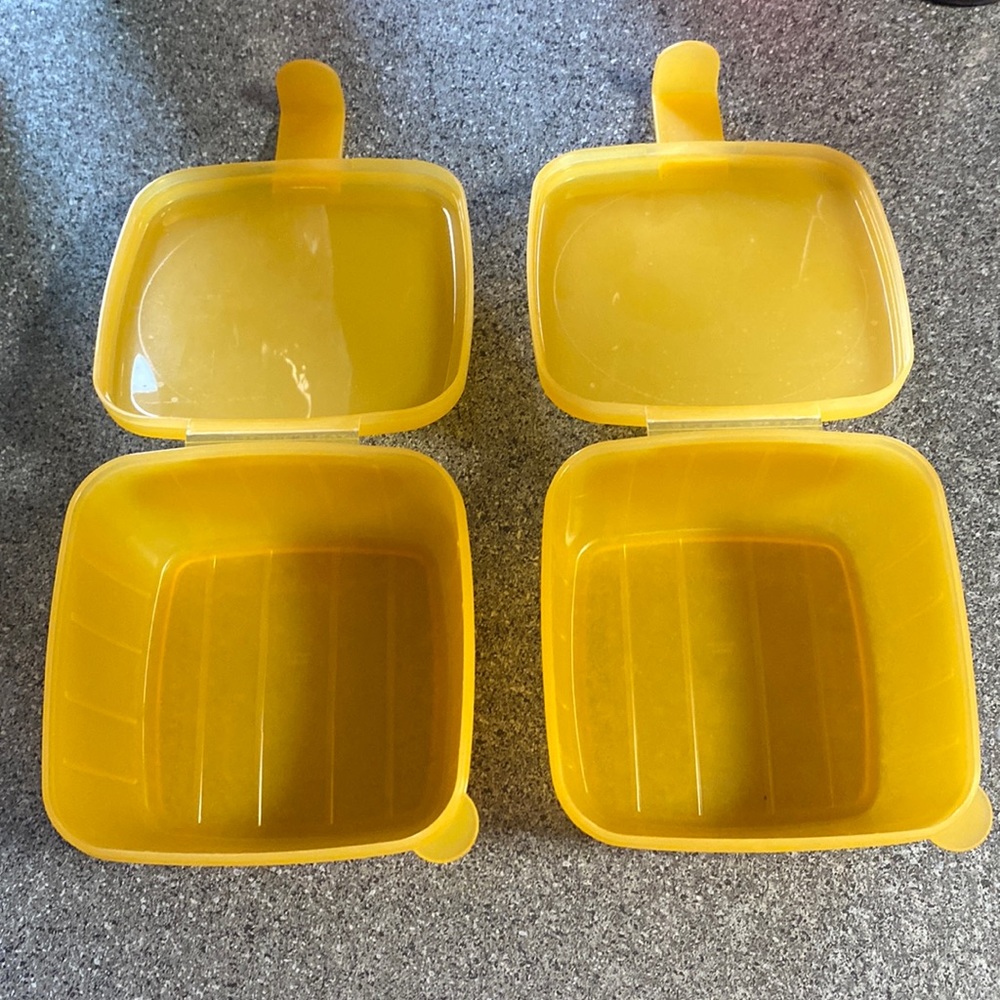 Tupperware forget me not cheese keeper